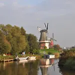 Strandlaeufer *