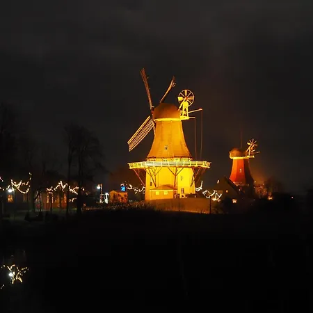 Strandlaeufer * Krummhörn