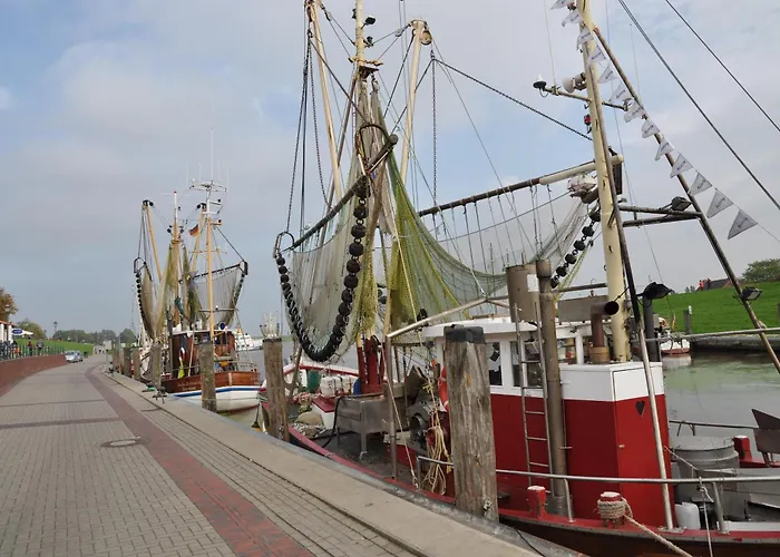 Strandlaeufer Krummhörn